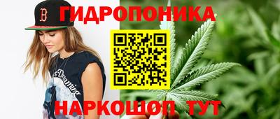 бошки Пенза