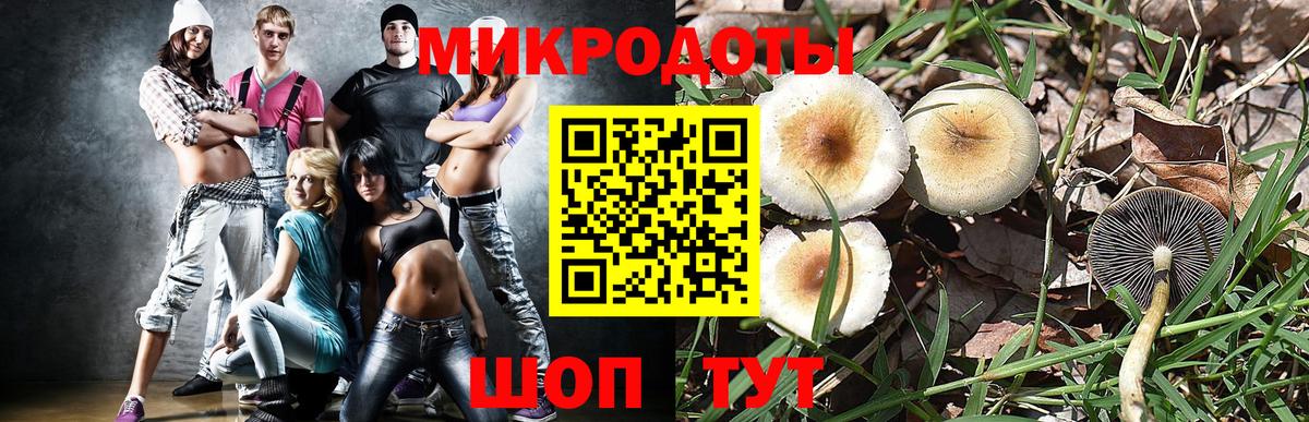 Галлюциногенные грибы Psilocybine cubensis Новочеркасск